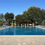 Sant'anna Del Volterraio - Margherite 3 * Bagnaia (Livorno)