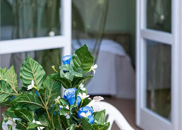 Apartamento Sant'anna Del Volterraio - Margherite 3 Bagnaia (Livorno)