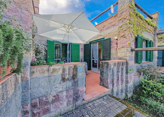 Sant'anna Del Volterraio - Margherite 3 *