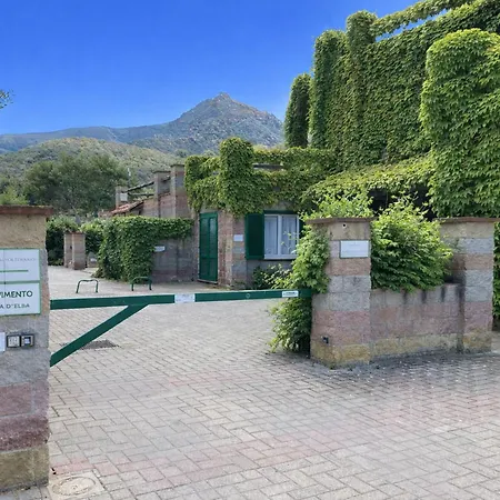 Sant'anna Del Volterraio - Margherite 3